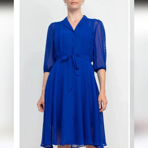 Nanette Leopore Blue Swiss dot Outerlayer dress. Size small. NWT